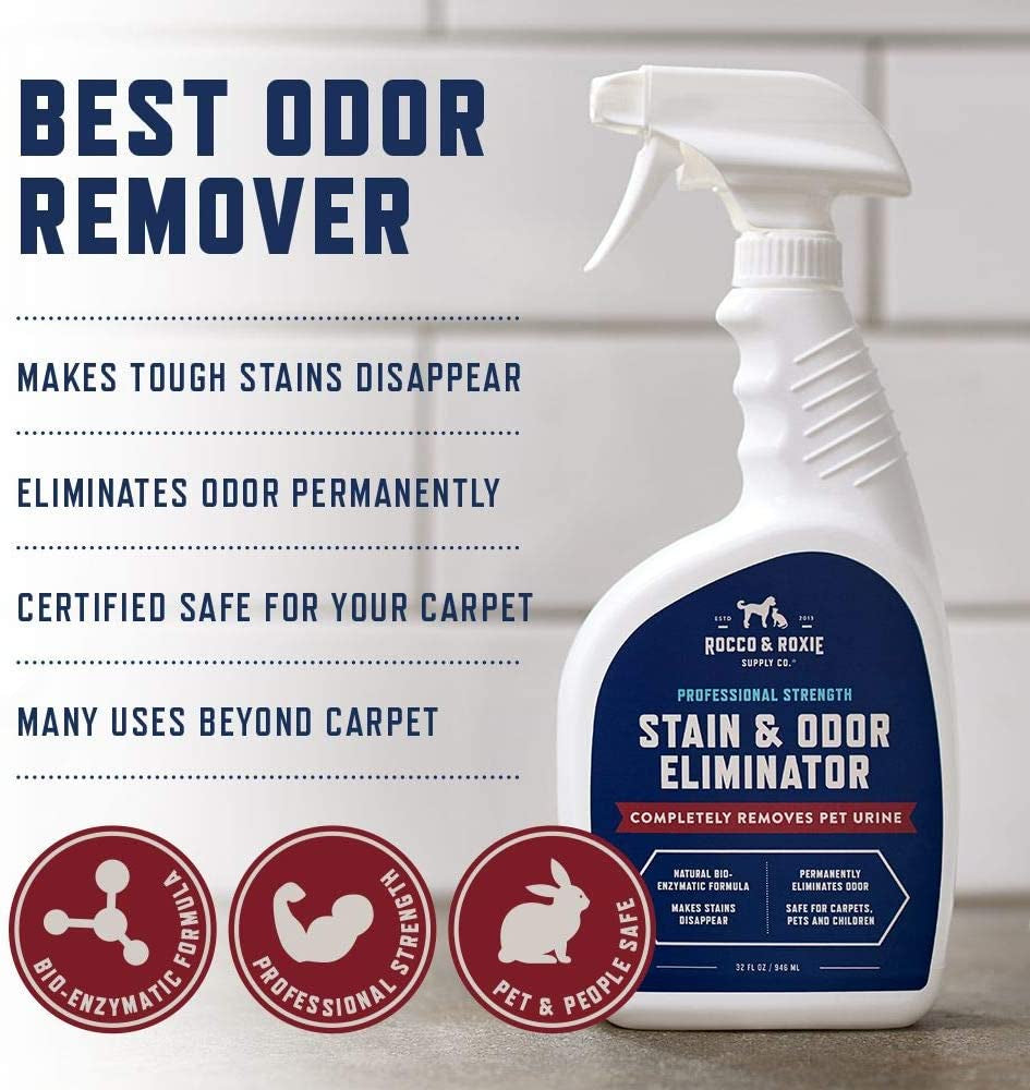 Rocco & Roxie Stain & Odor Eliminator for Strong Odor - Enzyme-Powered Pet Odor Eliminator for Home - Carpet Stain Remover for Cats and Dog Pee - Enzymatic Cat Urine Destroyer - Carpet Cleaner Spray