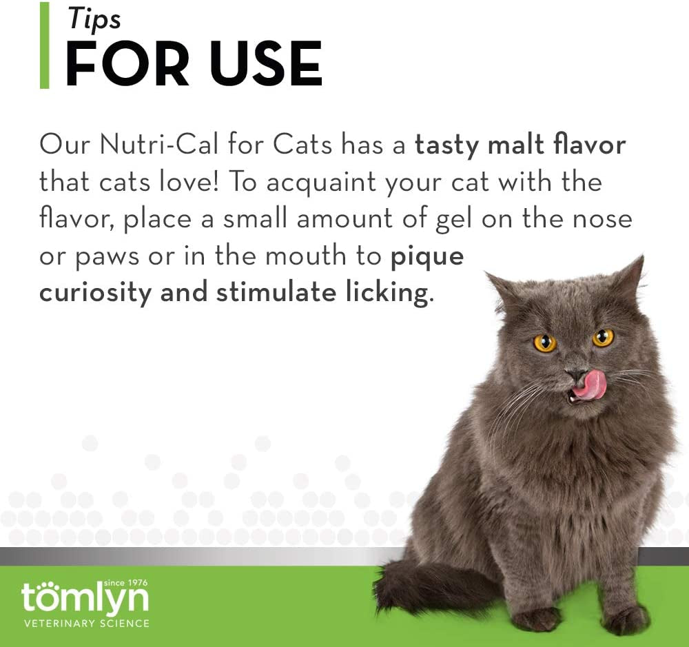 High Calorie Nutritional Gel for Cats, (Nutri-Cal) 4.25 Oz