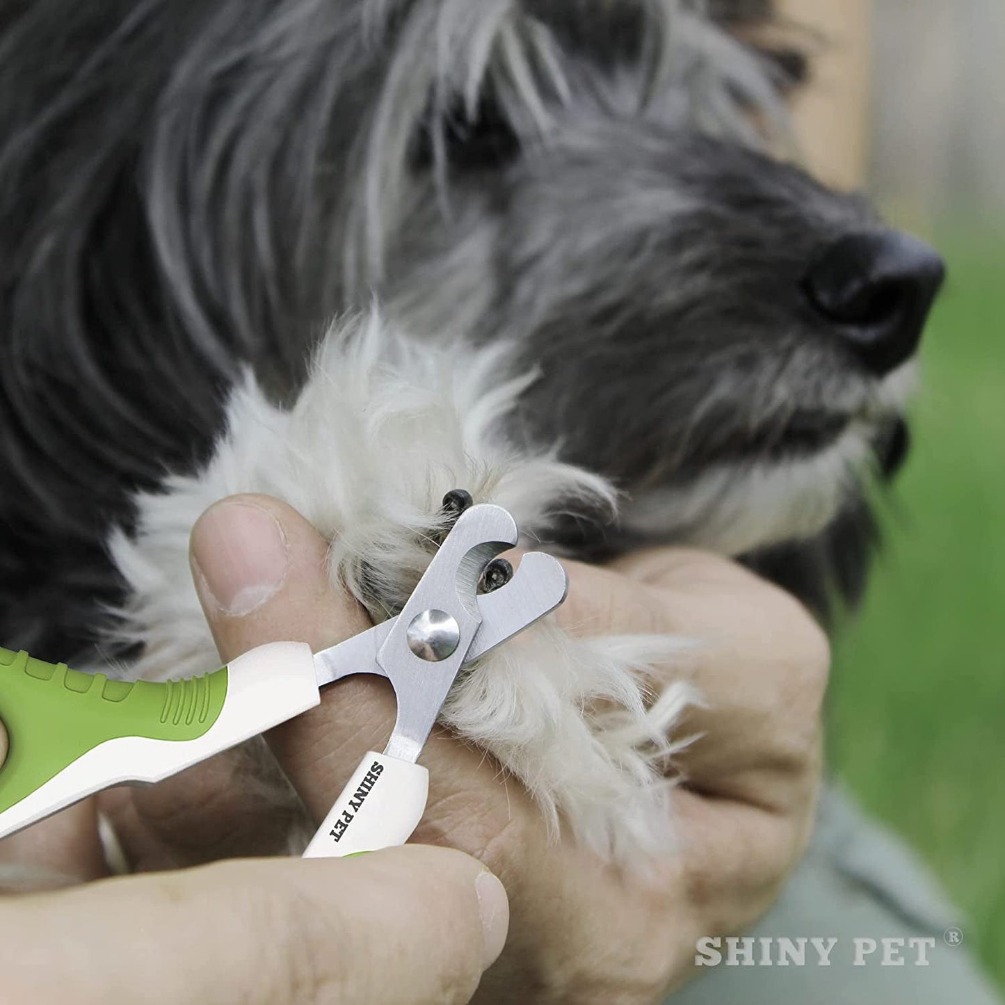 Pet Nail Clippers for Small Animals - Best Cat Nail Clippers & Claw Trimmer for Home Grooming Kit - Professional Grooming Tool for Tiny Dog Cat Bunny Rabbit Bird Puppy Kitten Ferret - Ebook Guide